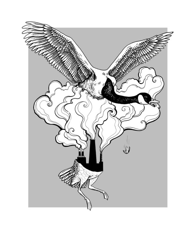 Pollution Bird Pollution Bird