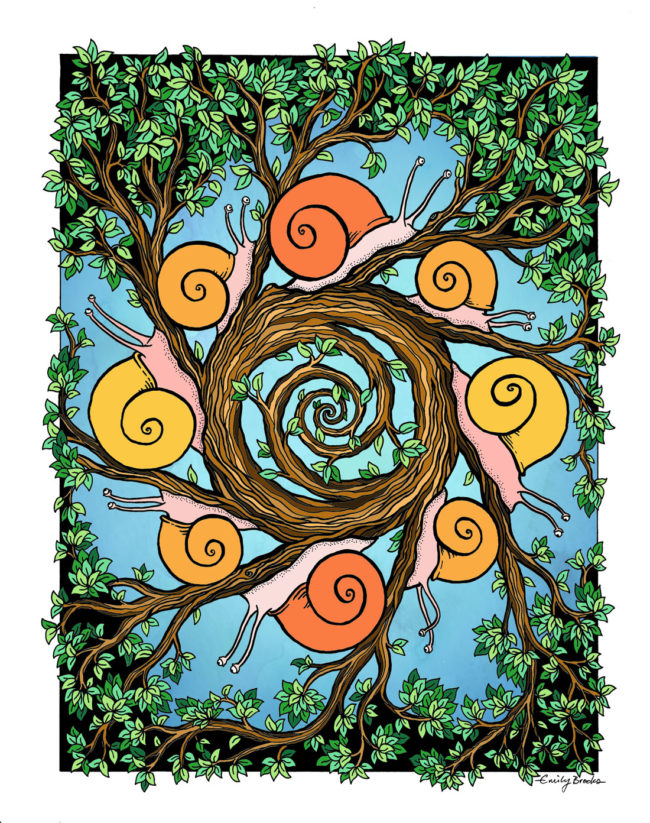 Snail Circle Snail Circle